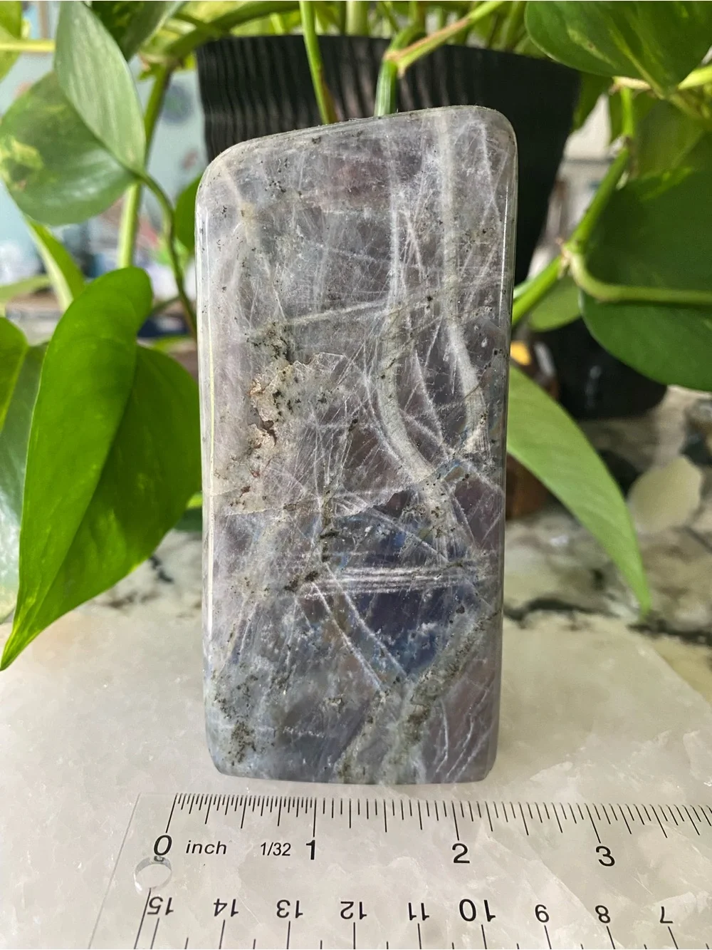 ✨ Double Flash Labradorite Freeform – 4.5 Inches ✨